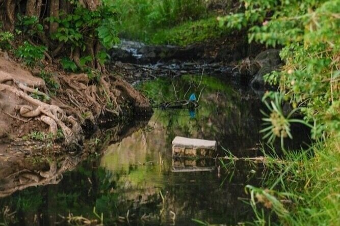 A small creek