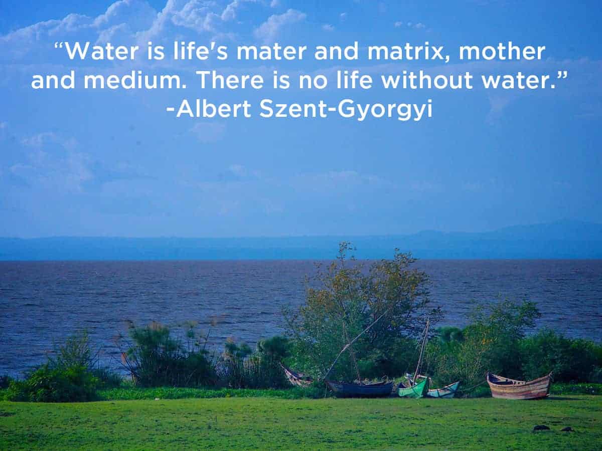 water-is-life.jpg