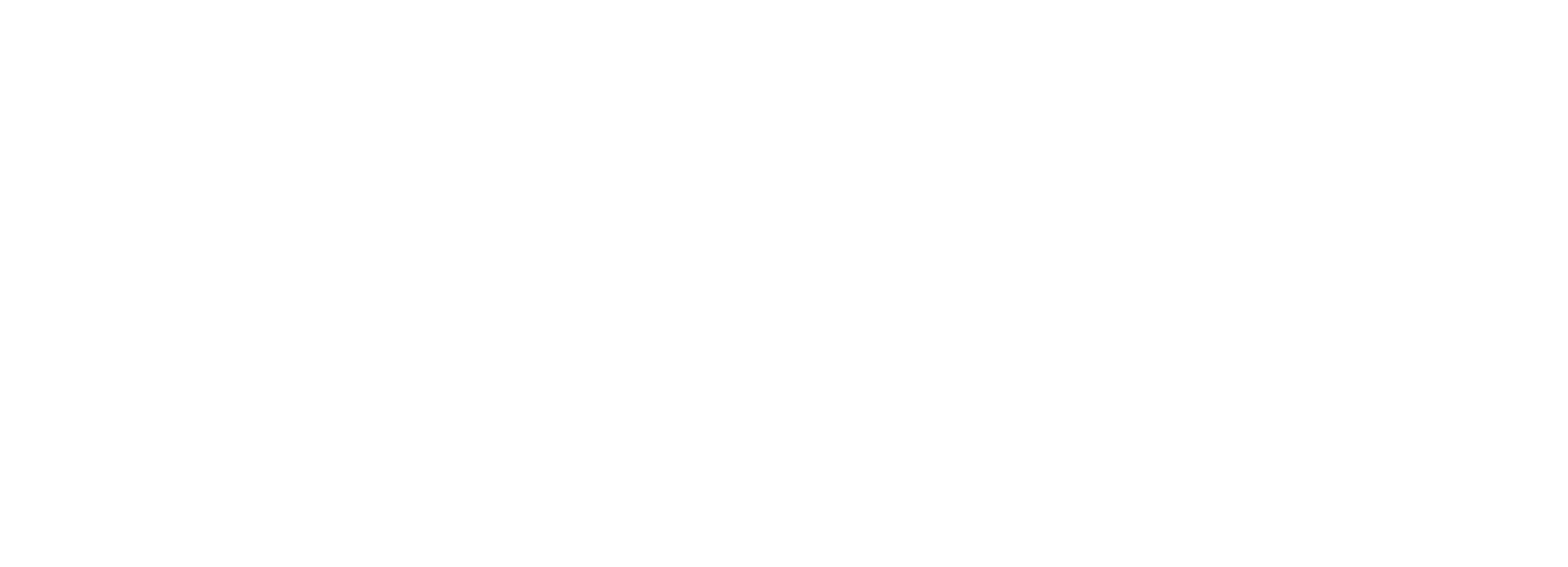 BS Promotores