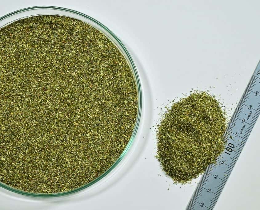 green-rooibos-dust