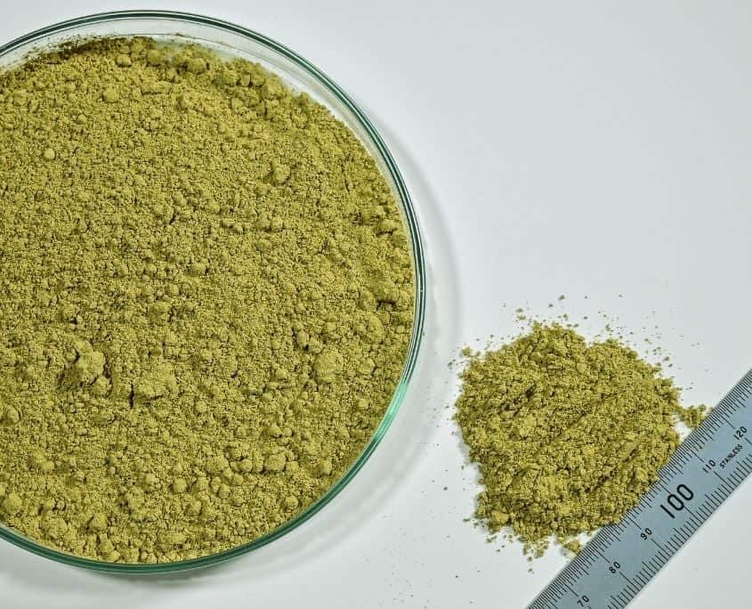 green-rooibos-micro-powder