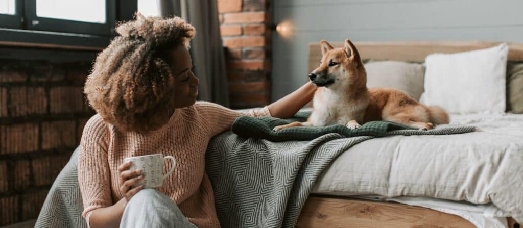 pets