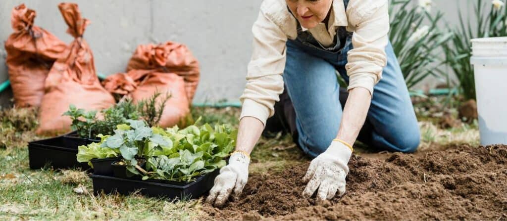 mulch