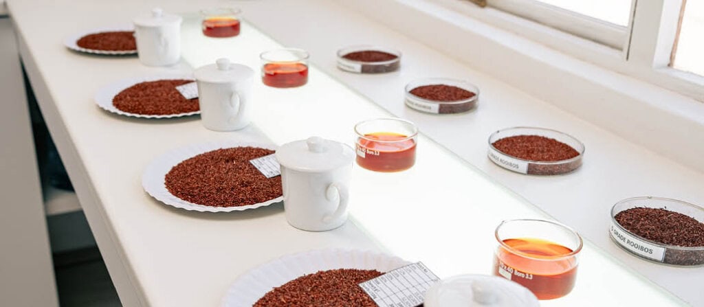 Various cuts of rooibos tea are laid out for grading