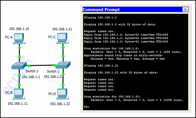CCNA 1 Chapter 2 Exam Answers - CISCO CCNA