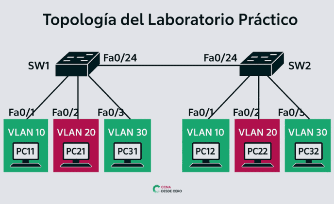 VLAN Nativa en Cisco: Guía Definitiva para el Examen CCNA