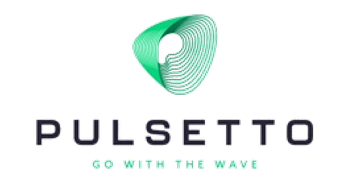Pulsetto Company Profile: Funding, Investors & Partnerships