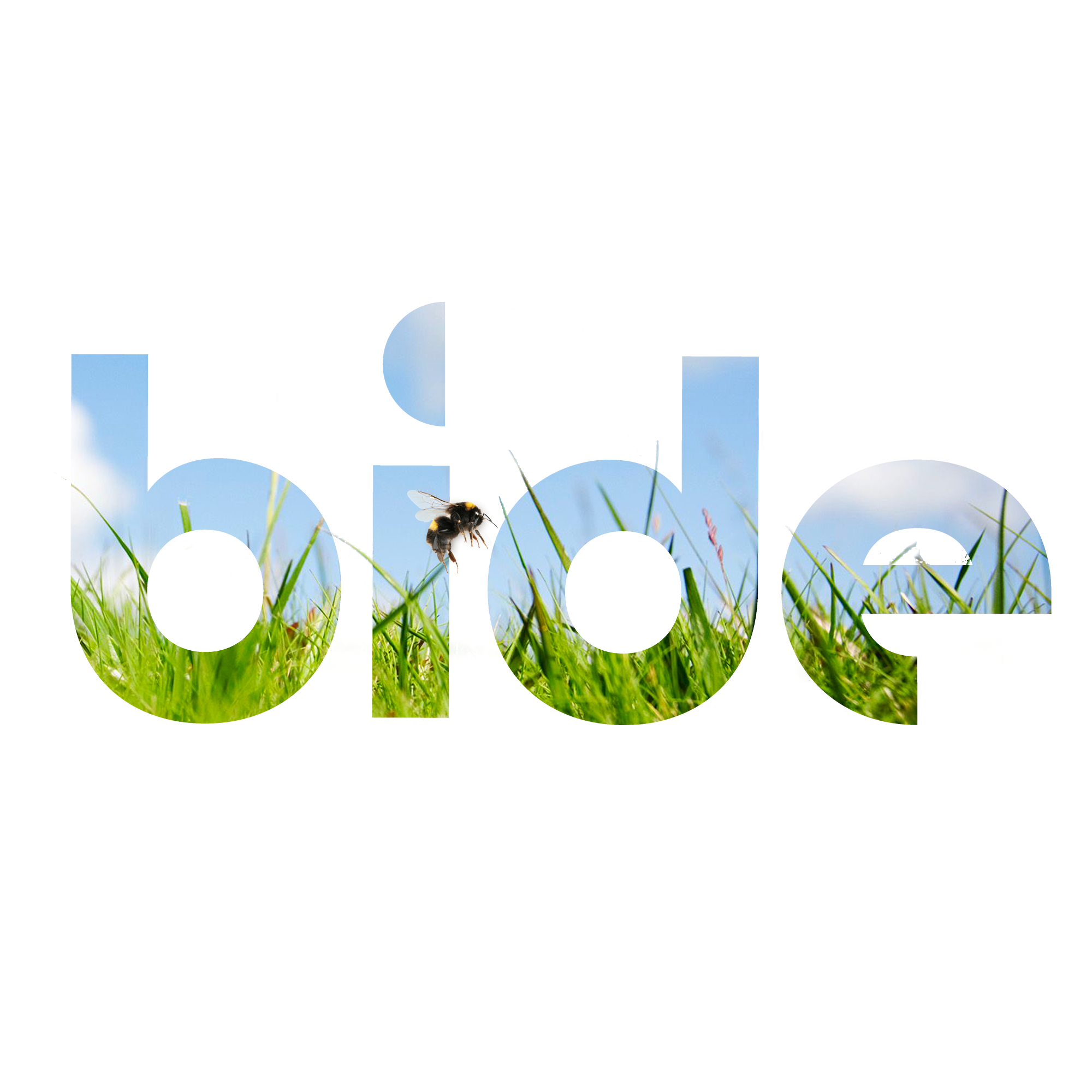 bide boxes | bide boxes
