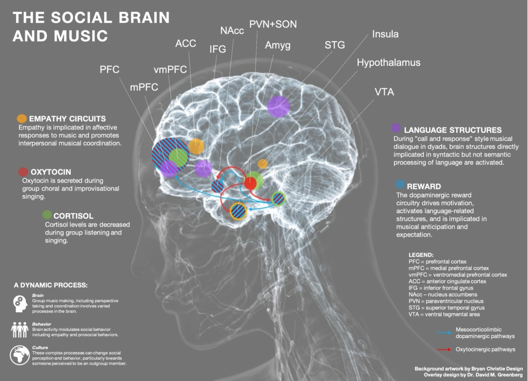 Picture of the Brain