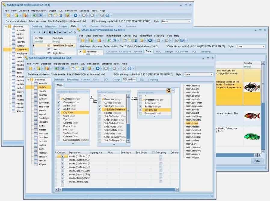 Bases de Datos: ¿Qué son y Para qué Sirven? » CodigoNautas