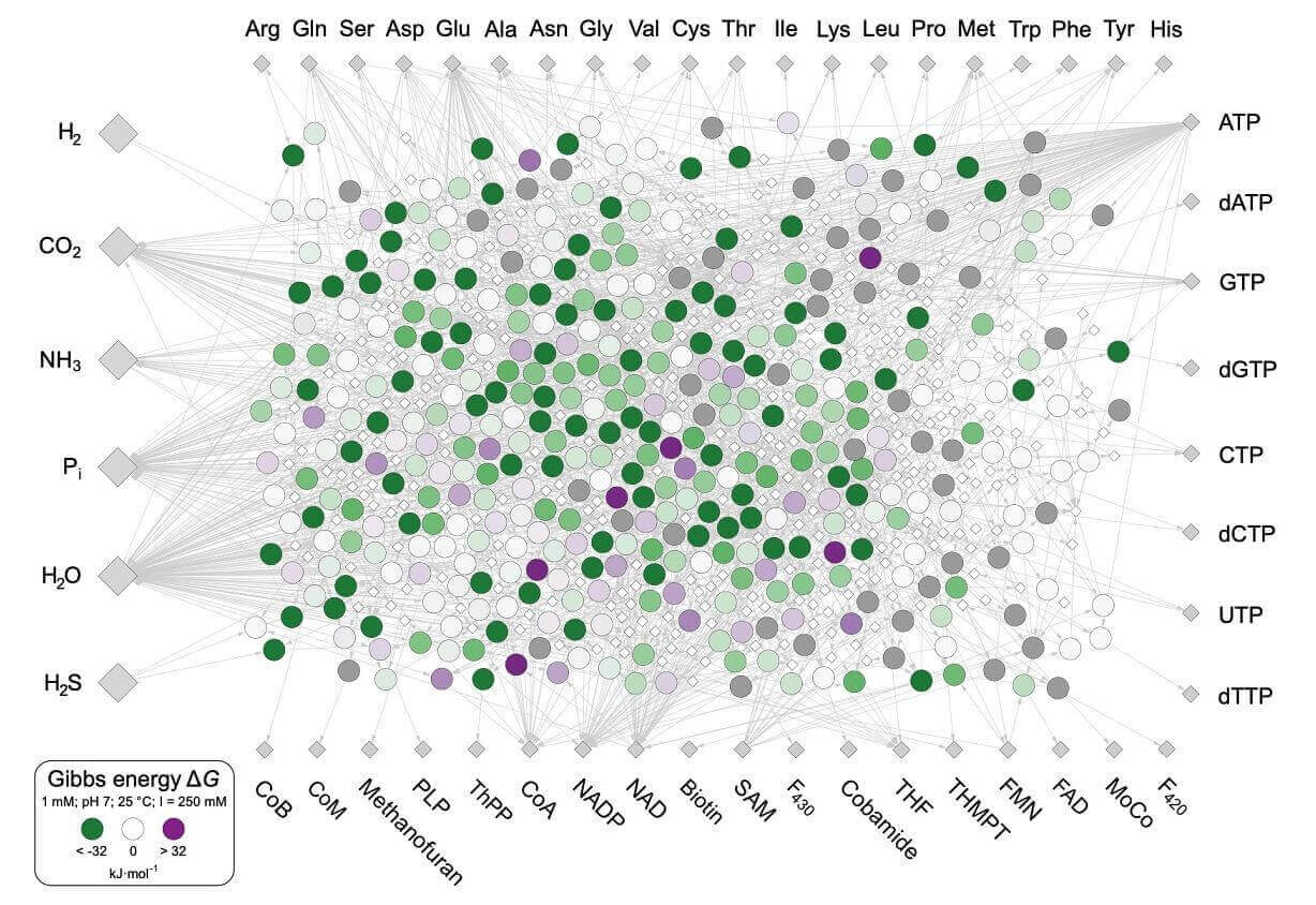 Graph of biochemical reactions