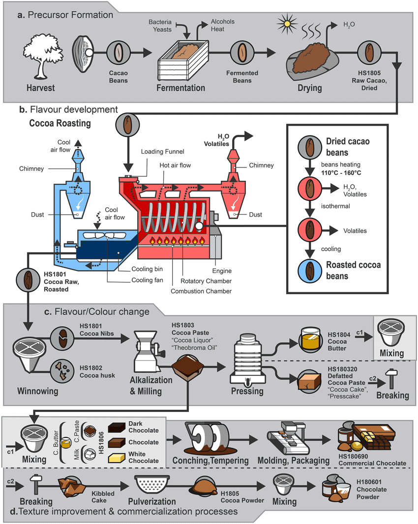Factory process chocolate making