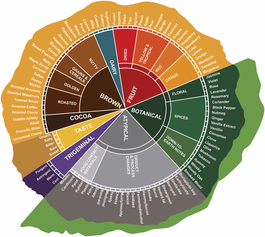 Aroma and taste wheel of chocolate and cocoa