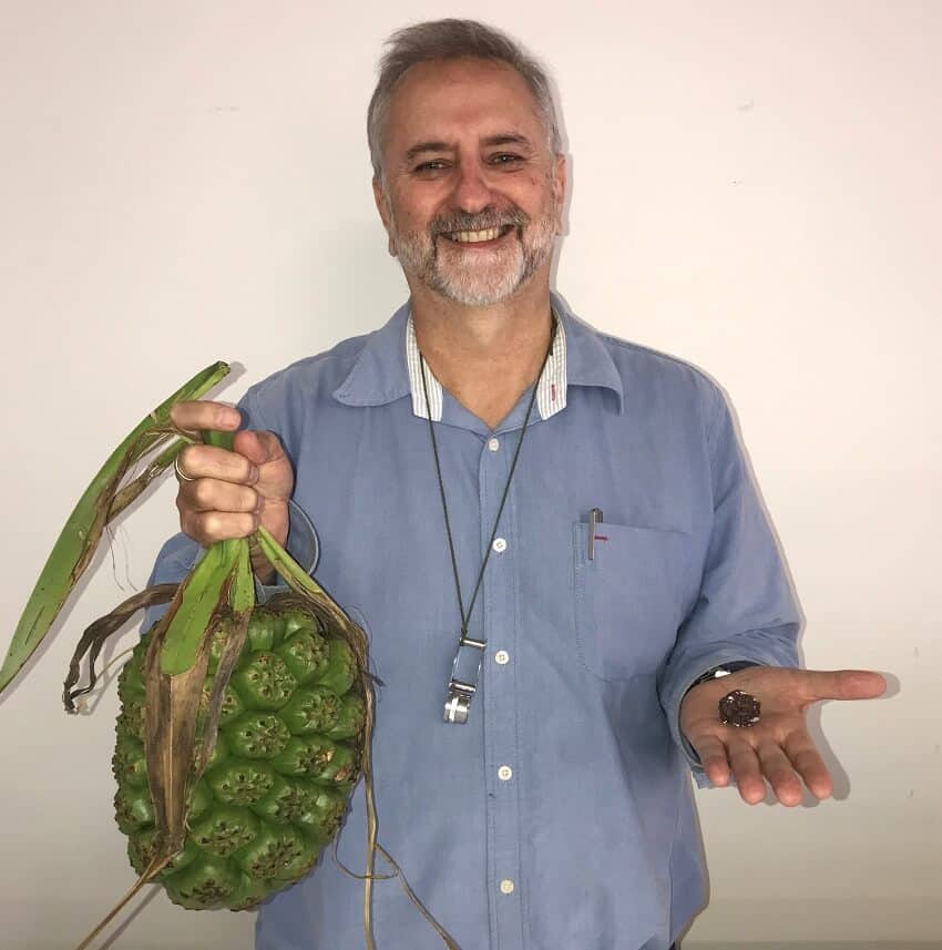 Man holding large green fruit bigger than his head in one hand, tiny brown rock smaller than his thumb in other hand