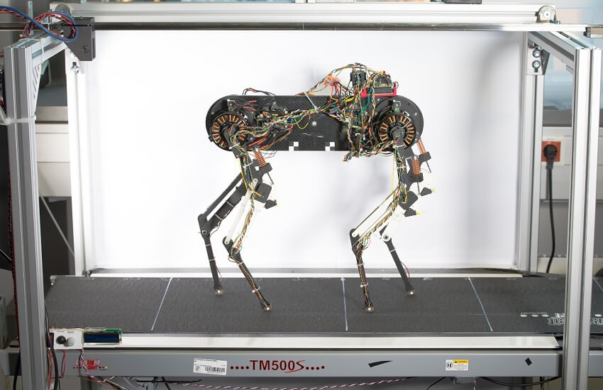 Morti the robot on treadmill.