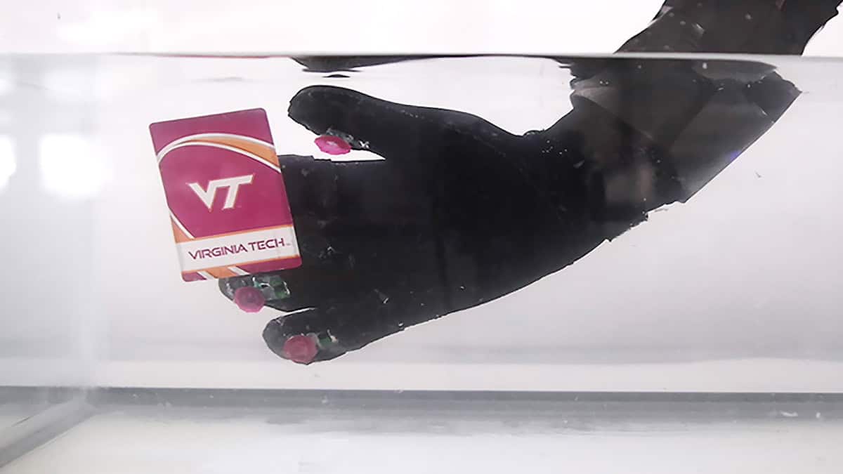 Octa glove vt card