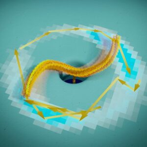 Flow-driven dna rotor