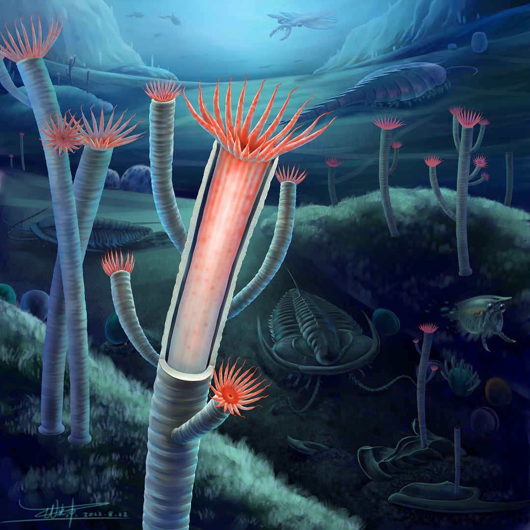 Ancient-jellyfish-first-skeleton-in-sea-with-arthropods-in-background