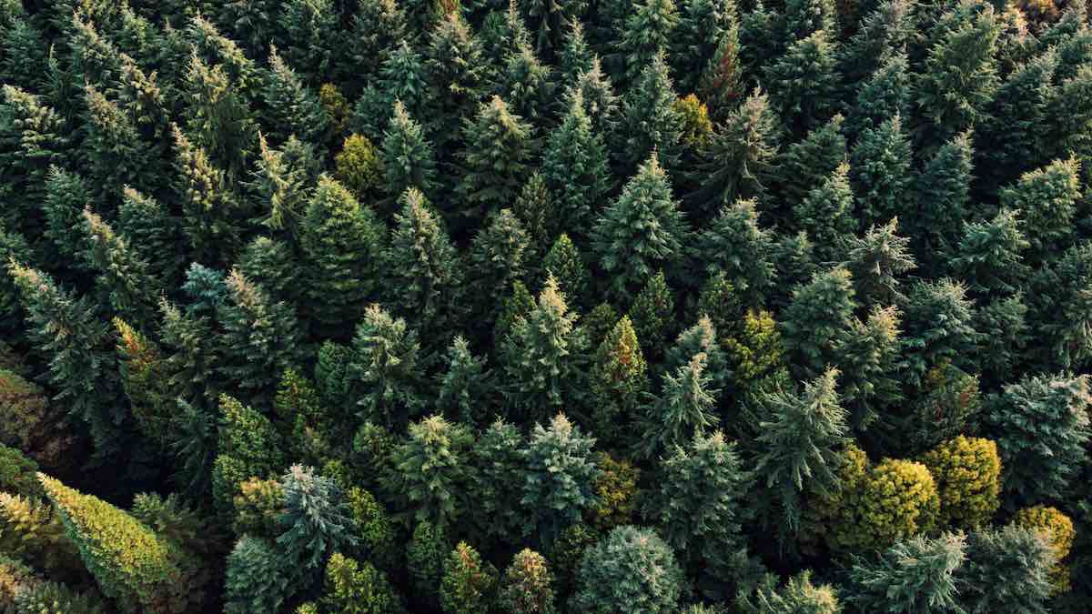 Gettyimages 903175350