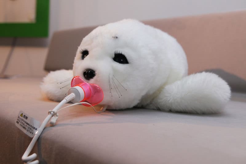 Paro credit rubra licensed under cc by nc nd 2. 0