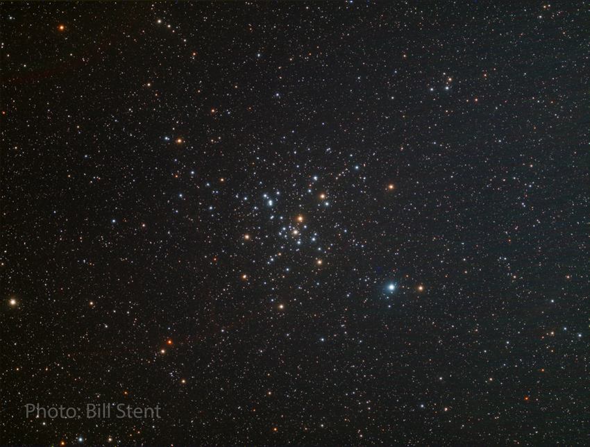 M41littlebeehive stent 850