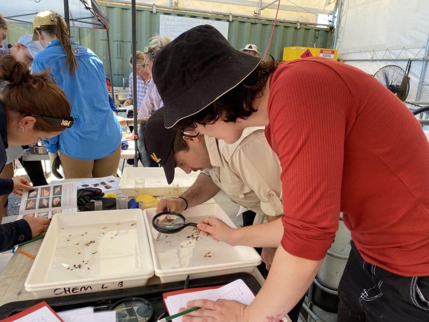 People looking at specimens in plastic tubs with magnifying glasses