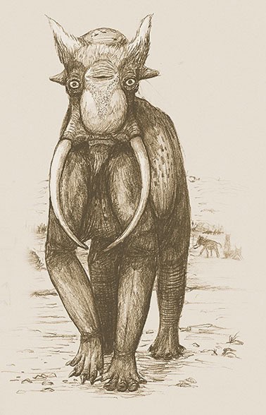 Elephant