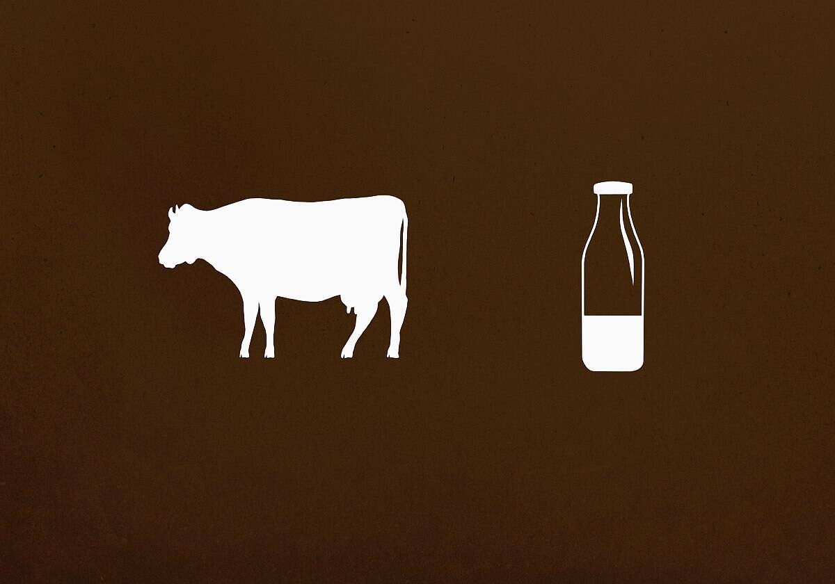 Outline of a white cow and milk bottle against brown background