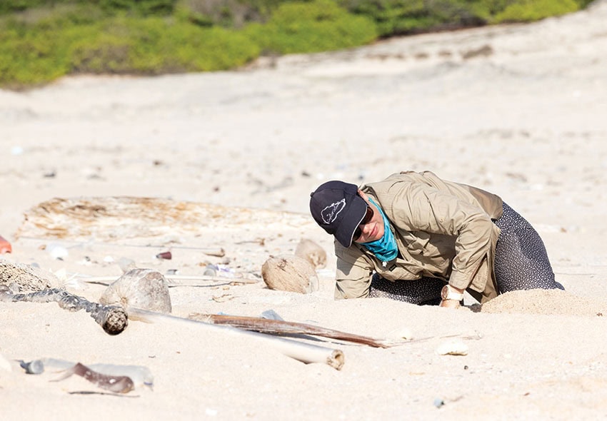 Natalie robson reaches into a green turtle nest.