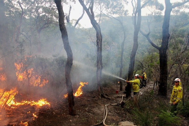 Hazard reduction image