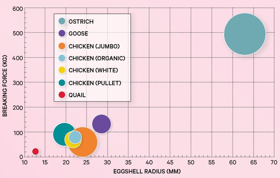 Graph showing the amount of force needed to break eggs of different species.