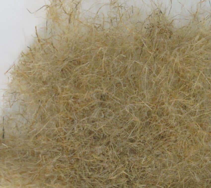 Pale fibres