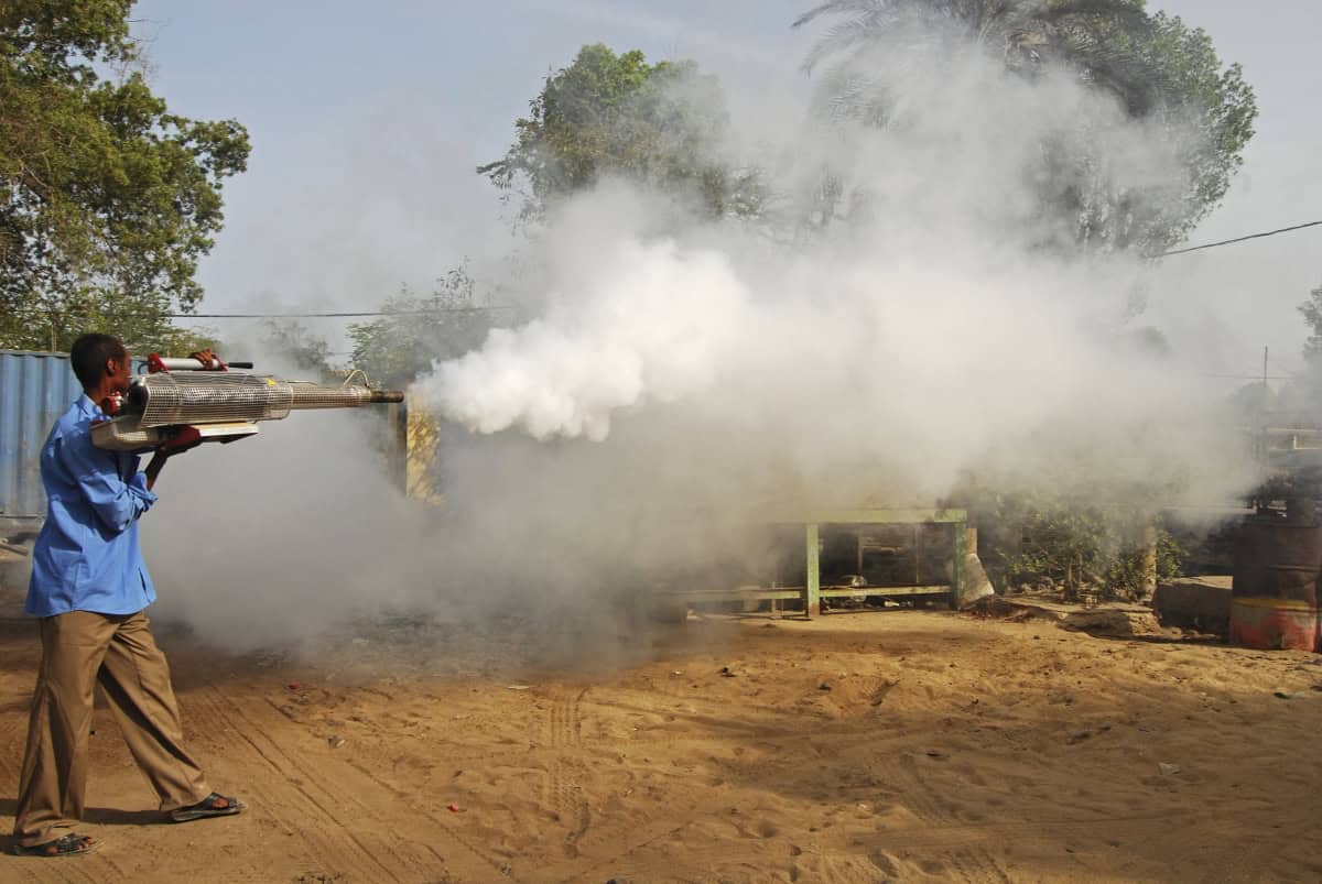 Djibouti, djibouti city, fumigation campaign against mosquitoes for malaria prevention.