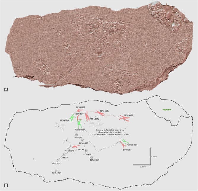 Dusty pink slab and drawing underneath