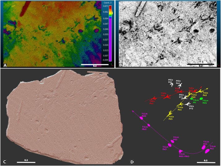 Pink slab and colour diagram next to greyscale diagram