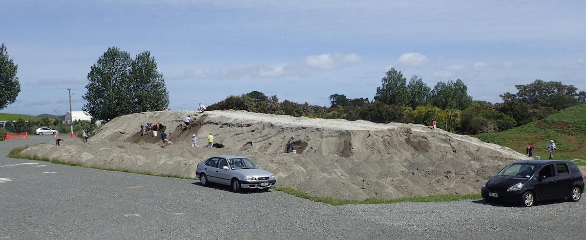 Mangere fossil dig dec 2020 2