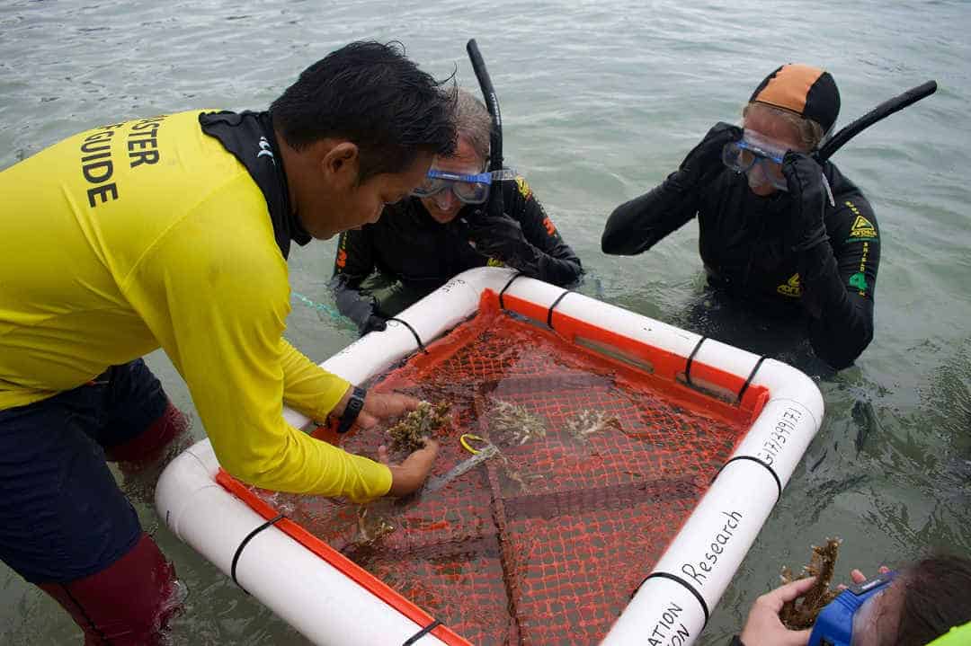 Man in yellow marine conservation two people scuba gear
