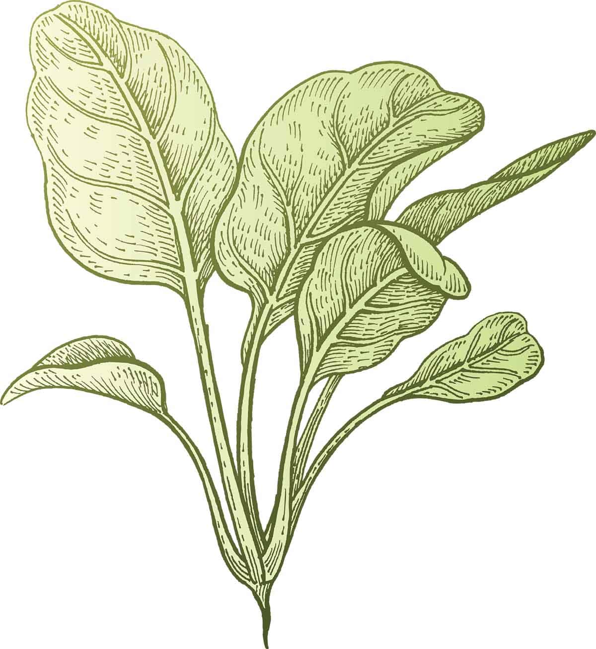 Marinavorontsova gettyimages 939168312 web