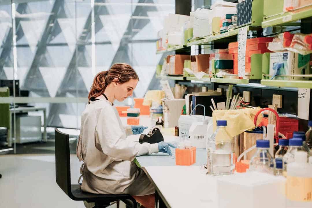Scientist working at desk at sahmri biomedical precinct