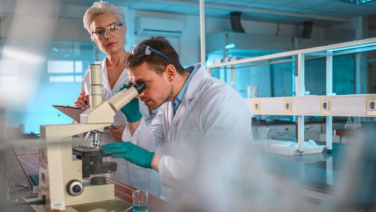 A supervising scientist mentoring a postgraduate research student.