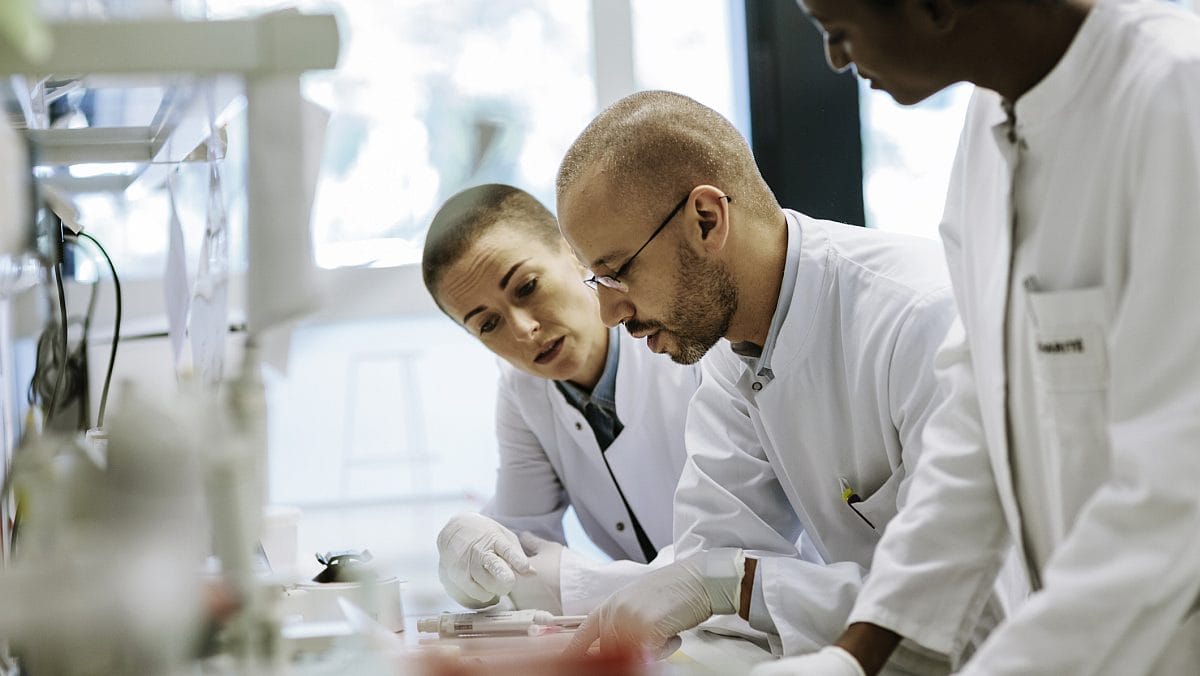 Three postgraduate research scientists working in a laboratory.
