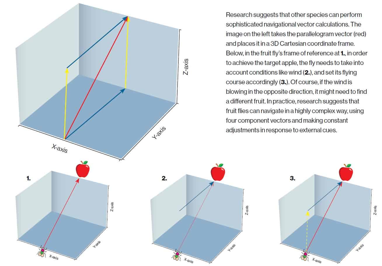 Figure vectors the third dimenion