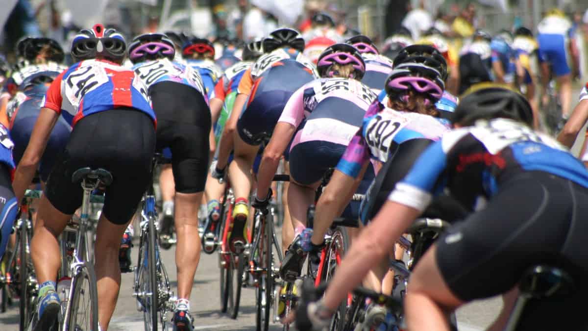 A rear view of a cycling peloton in a road bike race