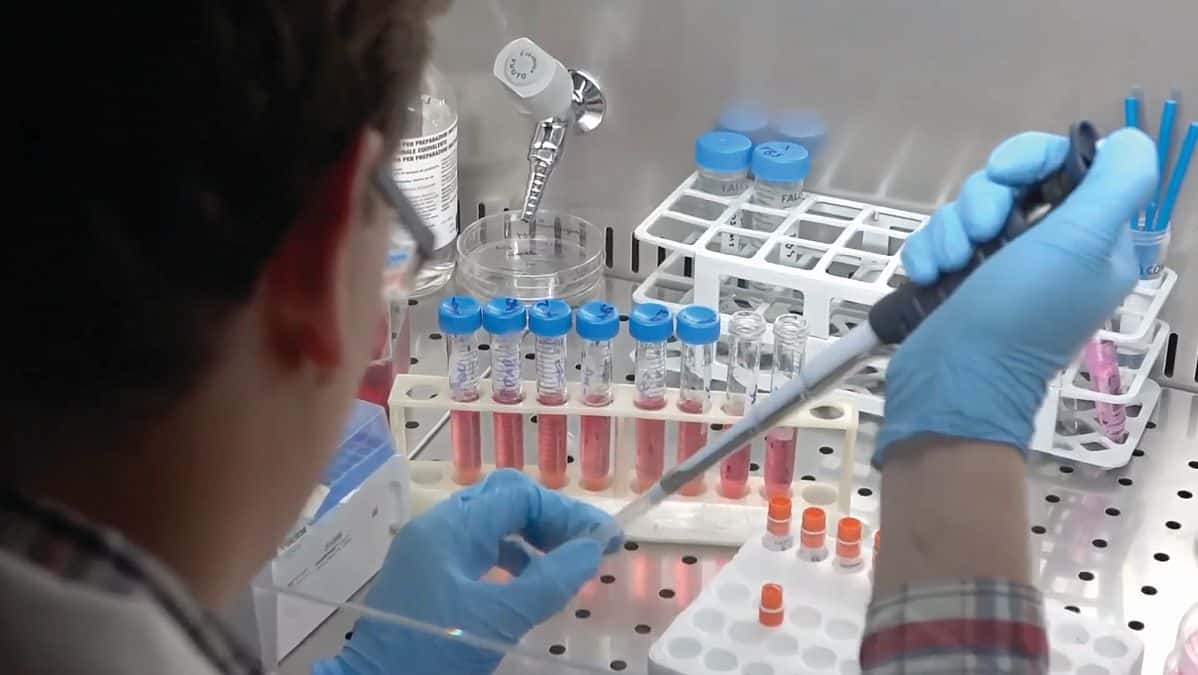 A researcher uses a pipette in a laboratory.