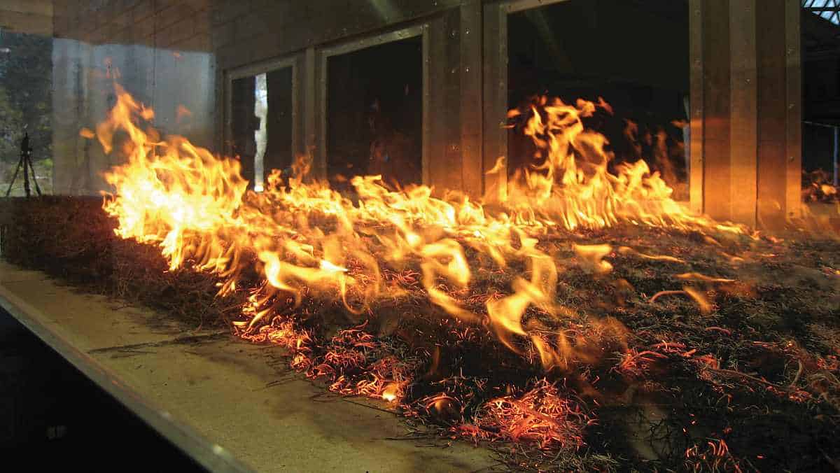 Equipment like the pyrotron allows scientists to safely simulate fire under a range of conditions.