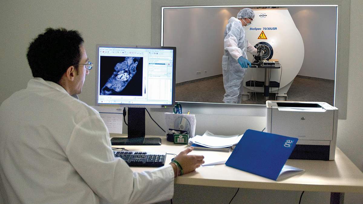 A researcher works in the lab.