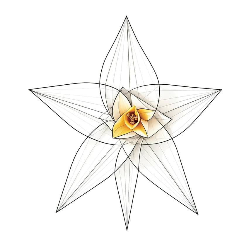 A stylised daffodil with white petals and a yellow centre.