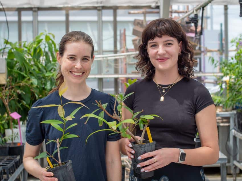 Two people standing in greenhouse holding plants and smiling
