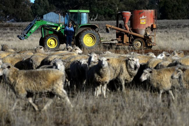 Gettyimages 1013051912