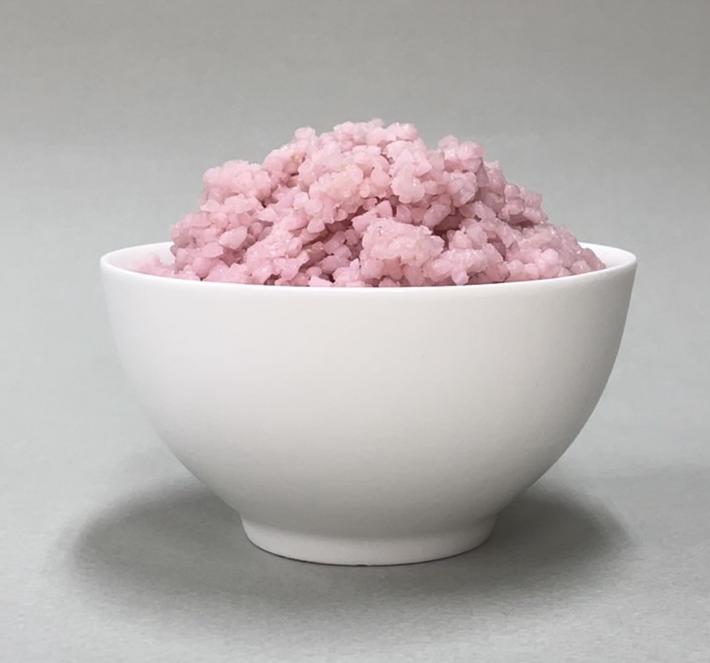 Growing animal muscle and fat cells inside rice grains 1 credit yonsei university